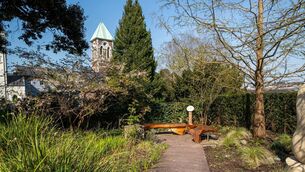 <p>The gardens at Nano Nagle Place will play host to a series of biodiversity workshops this summer, with participants invited to explore the flora and fauna of the site with hands-on, fun activities. </p> <p>The gardens at Nano Nagle Place will play host to a series of biodiversity workshops this summer, with participants invited to explore the flora and fauna of the site with hands-on, fun activities. </p>