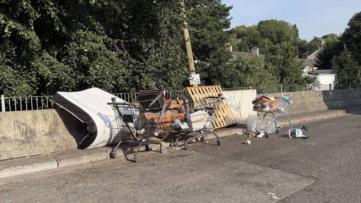 Fly tipping at Cork housing estate prompts call for cameras to tackle illegal dumping
