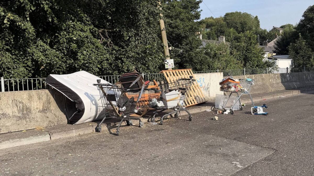 Call to renew CCTV at Cork estate to stop 'vicious cycle' of illegal dumping