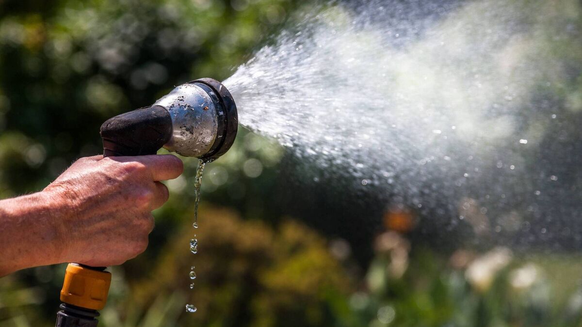 Nationwide hosepipe ban from Friday as Uisce Éireann says supplies coming under pressure