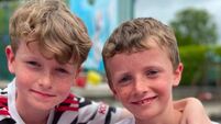 Sunflower-picking fundraiser kicks off today in aid of Paudie Coady