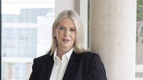 Council CEO wrote to planning board in support of Páirc proposal rejected in vote