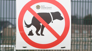 <p>The Government is increasing fines for dog fouling in September, but Trevor Laffan says it won’t have an impact</p>