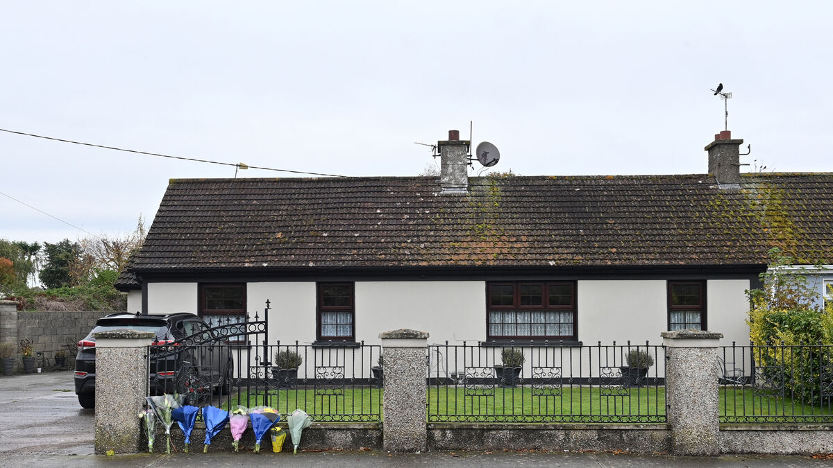 Cocaine and alcohol would have accelerated death, pathologist tells Doneraile murder trial