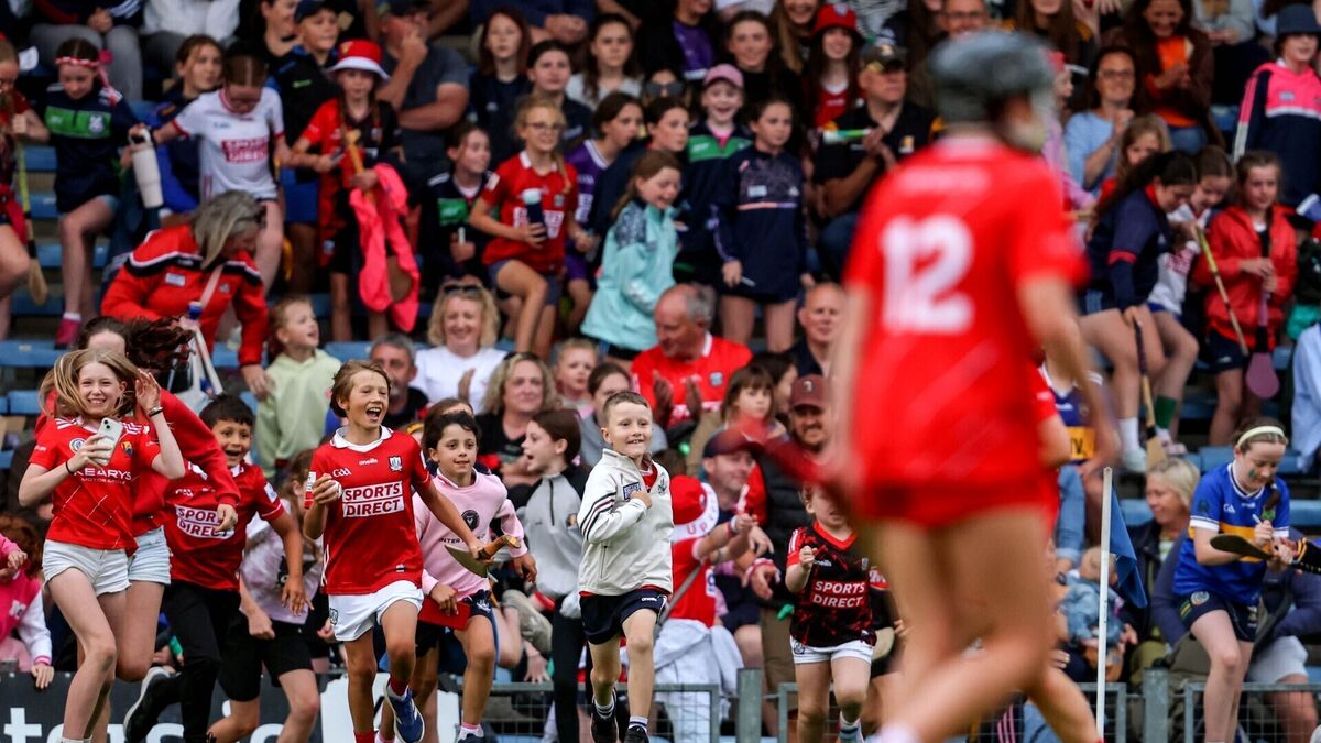 Relief and pride as Cork secure shot at redemption in All-Ireland final camogie against Galway