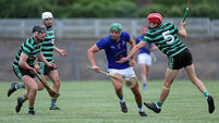 Cork Hurling: John Horgan picks his six clubs to qualify from the Premier Senior groups