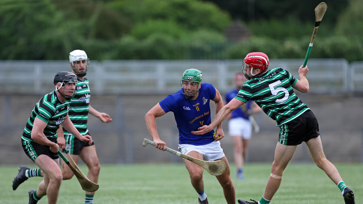 Cork Hurling: John Horgan picks his six clubs to qualify from the Premier Senior groups