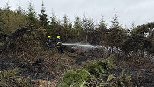 Fire services dealing with fire in Waterford's Comeragh Mountains Fire services dealing with fire in Waterford's Comeragh Mountains