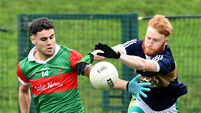 Ballinora start life at Premier Intermediate with gritty win over Nemo Rangers