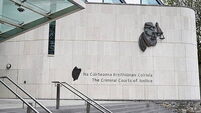 Lack of engagement from IS supporter who stabbed garda ‘disappointing’ – judge