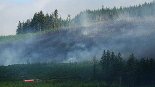 Slievenamon wildfire
