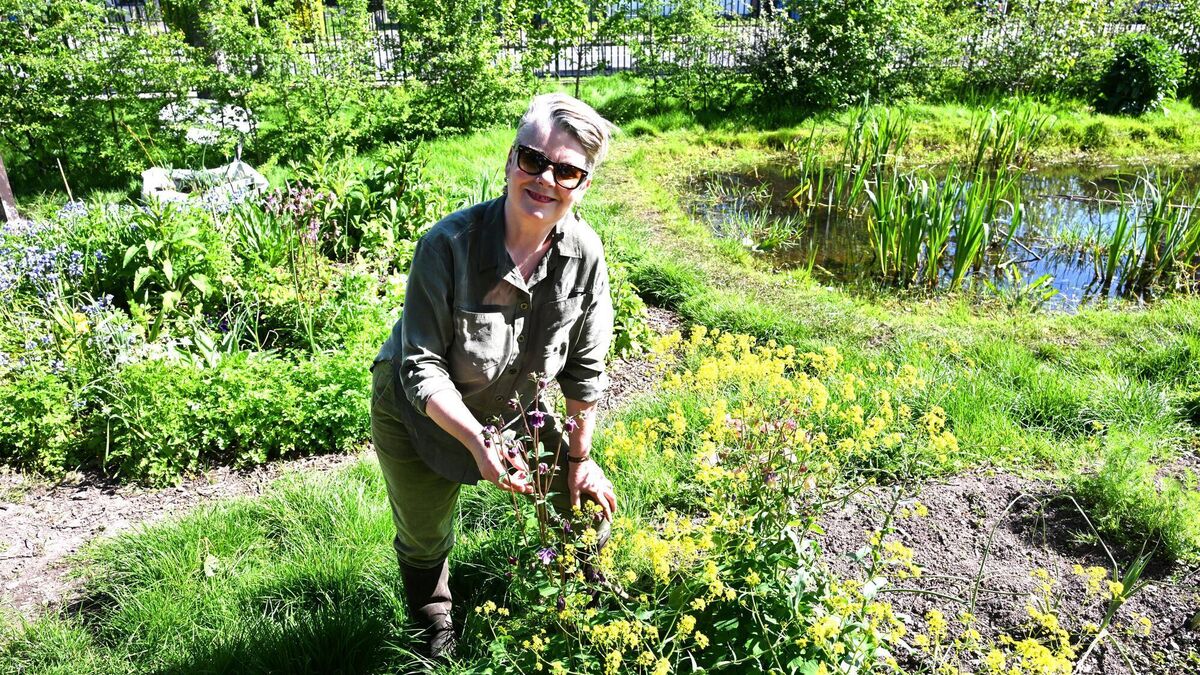 Person to Person: My proudest moment...finding a frog in Togher a year after digging the pond