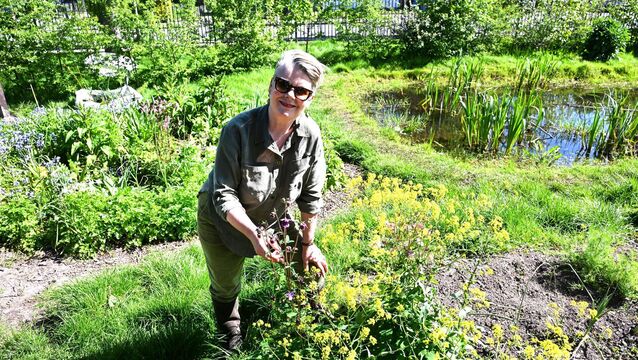 <p> Maria Young at Togher Community Garden. Picture: Larry Cummins</p>