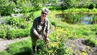 Person to Person: My proudest moment...finding a frog in Togher a year after digging the pond