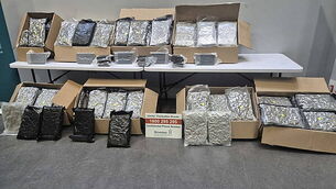 €1.95 million worth of drugs seized at Dublin Port