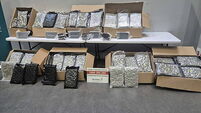 €1.95 million worth of drugs seized at Dublin Port