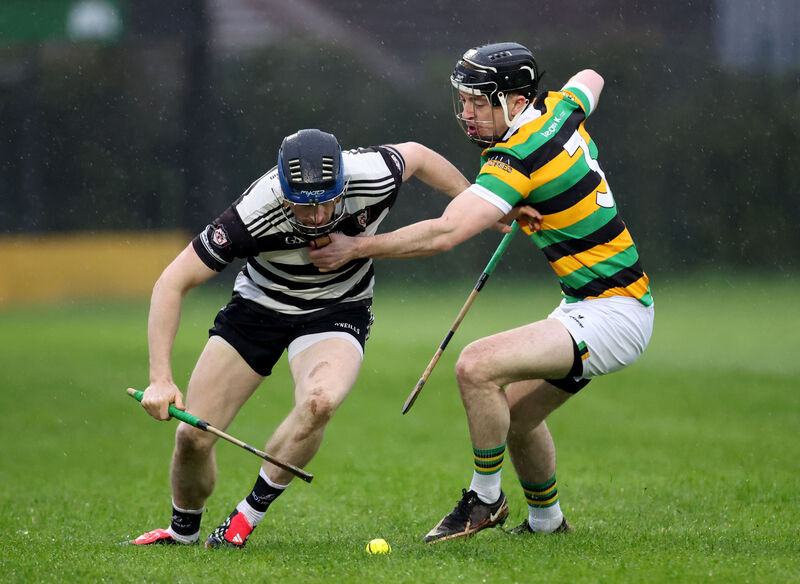  Liam Coughlan, Glen Rovers, Conor Lehane, Midleton. Picture: Jim Coughlan.