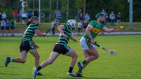 Premier SHC: Newtownshandrum dig deep to snatch draw against Douglas