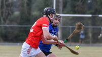 Darragh Fitzgibbon leads Charleville to famous win over champions Sarsfields