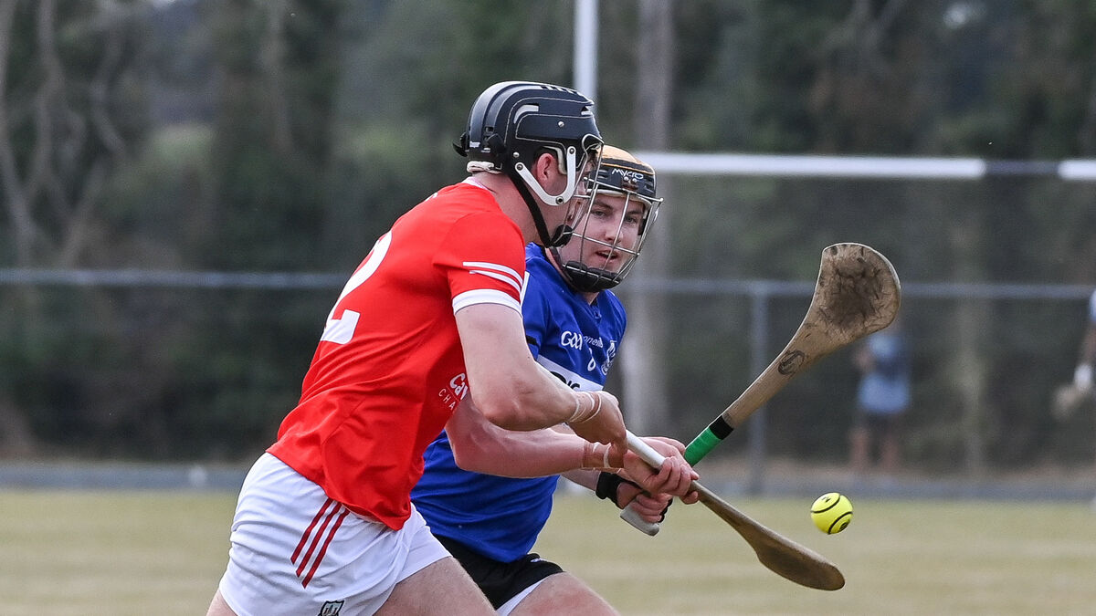 Darragh Fitzgibbon leads Charleville to famous win over champions Sarsfields