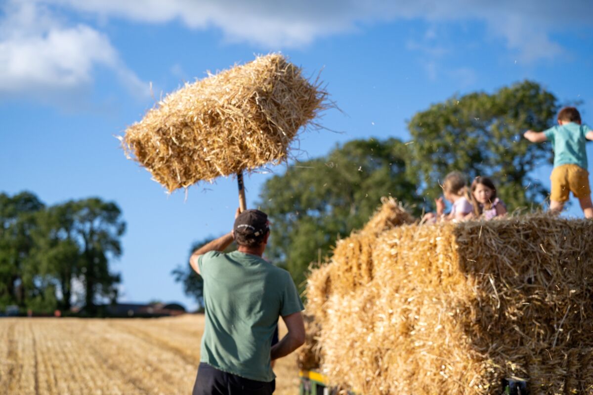 Farmer Dennis Hickey pitches in as neighbours, friends and family work together to bring in the small hay bales during the annual community haymaking evening at his farm near Midleton, Co Cork. Picture: Chani Anderson Farmer Dennis Hickey pitches in as neighbours, friends and family work together to bring in the small hay bales during the annual community haymaking evening at his farm near Midleton, Co Cork. Picture: Chani Anderson