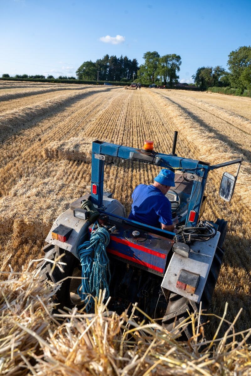 PJ Cotter drives his vintage Ford tractor while helping transport small hay bales during the annual community haymaking evening at Dennis Hickey’s farm near Midleton, Co Cork. Picture: Chani Anderson PJ Cotter drives his vintage Ford tractor while helping transport small hay bales during the annual community haymaking evening at Dennis Hickey’s farm near Midleton, Co Cork. Picture: Chani Anderson