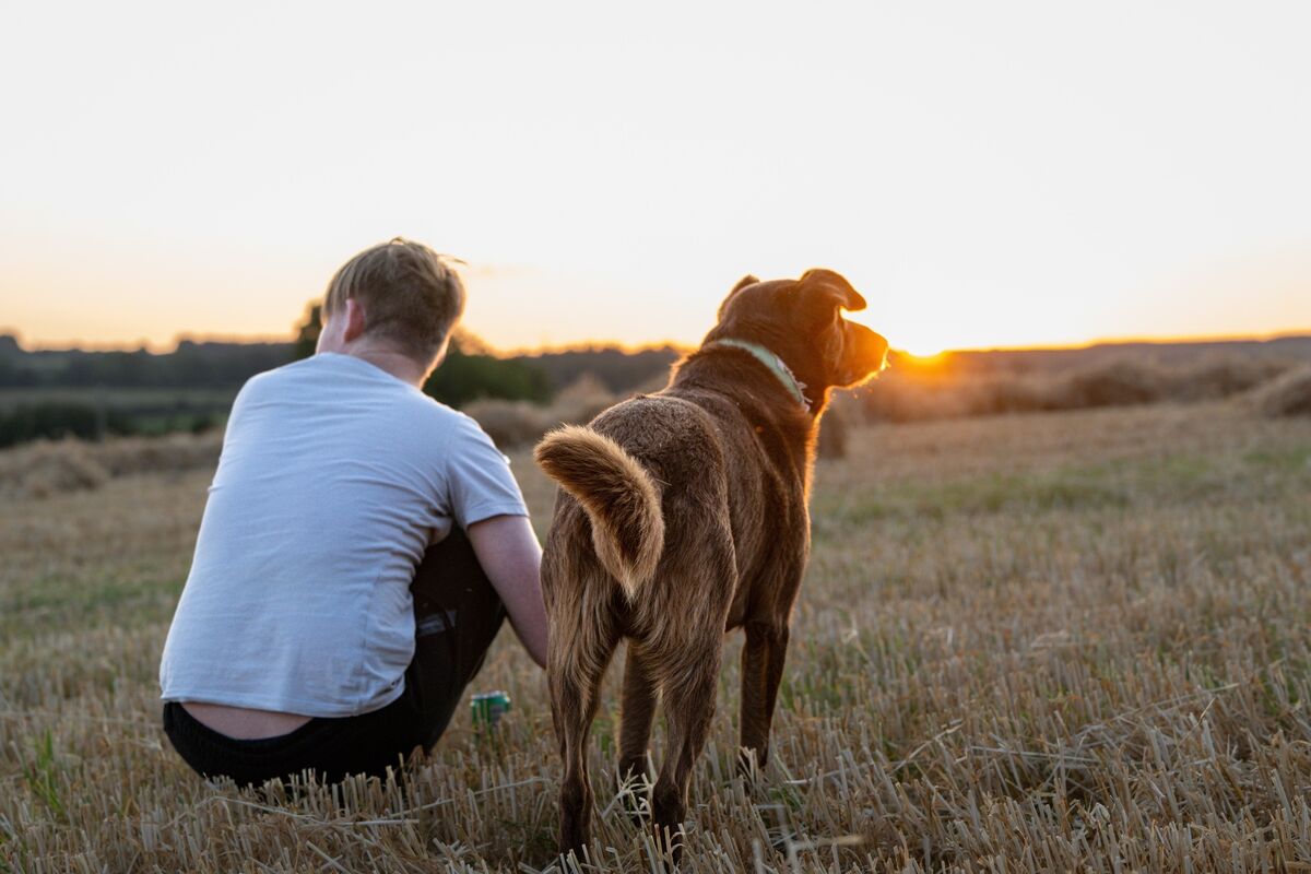 Sean McGuinness enjoys the evening sunset with the farm dog after volunteers finished bringing in the hay at Dennis Hickey’s farm near Midleton, Co Cork. Picture: Chani Anderson Sean McGuinness enjoys the evening sunset with the farm dog after volunteers finished bringing in the hay at Dennis Hickey’s farm near Midleton, Co Cork. Picture: Chani Anderson