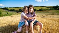 Pictures: Making hay while the sun shines in Midleton
