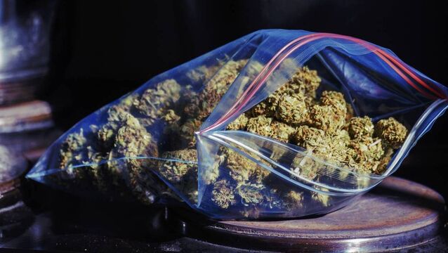 <p>Daniel Kelleher is charged with possession of cannabis for sale or supply at Arderrin Way, The Glen, Cork, on January 22. Stock picture</p>