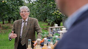 Birthplace of the Bramley in Northern Ireland features in festival celebrations Birthplace of the Bramley in Northern Ireland features in festival celebrations
