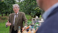 Birthplace of the Bramley in Northern Ireland features in festival celebrations