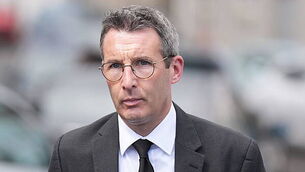 Stormont agriculture minister orders external review into Fivemiletown cattle killing Stormont agriculture minister orders external review into Fivemiletown cattle killing