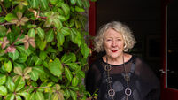 The Pubs of Cork: I just had to buy this place, I had no clue what I was doing