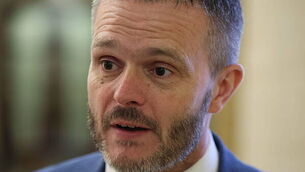 Stormont agriculture committee to meet to discuss shooting of 51 cows Stormont agriculture committee to meet to discuss shooting of 51 cows