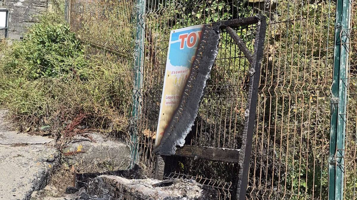 'Incredibly disappointing and completely senseless': Anger after Toy box at Cork beach set alight