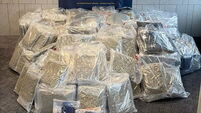 Two men arrested after €8.5 million worth of drugs seized in Meath and Louth