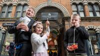 From the quirky to the unmissable..Top picks for Cork on a Fork