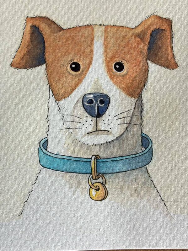  The book’s illustrations were done by Stephen’s friend, illustrator Sara Baker