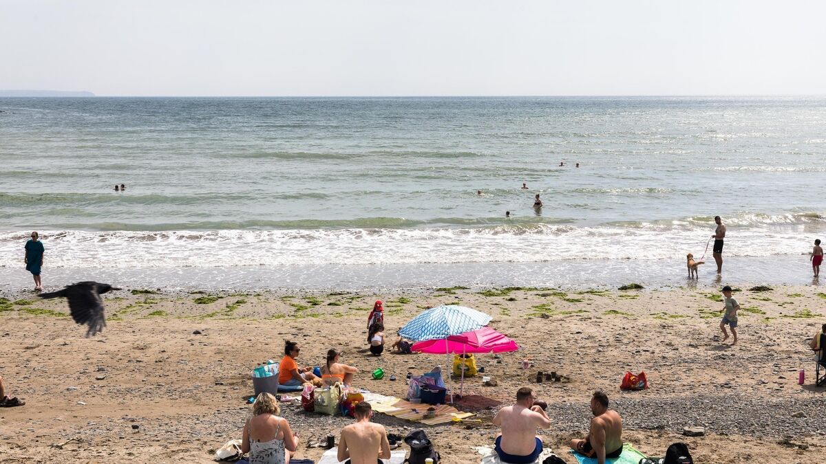John Dolan: I've taken the plunge in the sea in Cork this summer...I think we need more pools