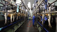Milk price protest