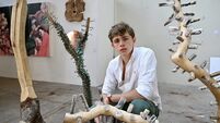 West Cork sculptor turns family's World War acorn into mighty oak