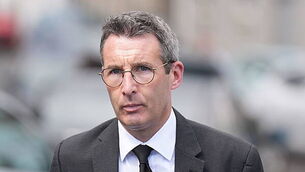 Union calls for independent expert panel to review cull of cows Union calls for independent expert panel to review cull of cows