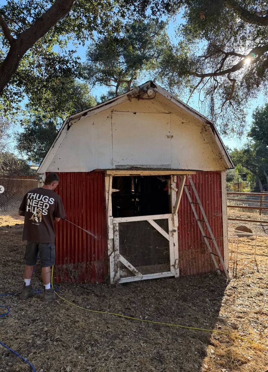 Callum Walsh working on his ranch in the coastal City of Ventura in California. Callum Walsh working on his ranch in the coastal City of Ventura in California.