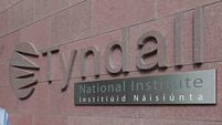 Tyndall hails record year as three chip start-ups launched