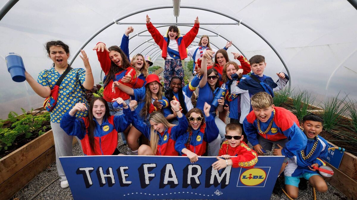 Watch: Cork's Kabin Crew approached by Lidl to create catchy new tune 