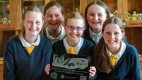 West Cork town's connection to Winnie the Pooh books explained in new heritage trail 