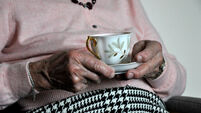 Elderly stock