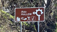 Planning for long-awaited Mallow relief road due to be lodged