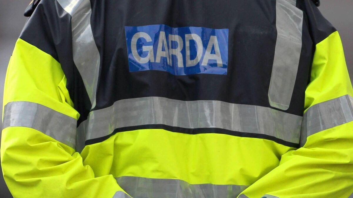 Mum of assaulted teens says reduced gardaí in Blackrock is affecting safety in area