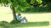 How trees can help Cork city cope with more heat